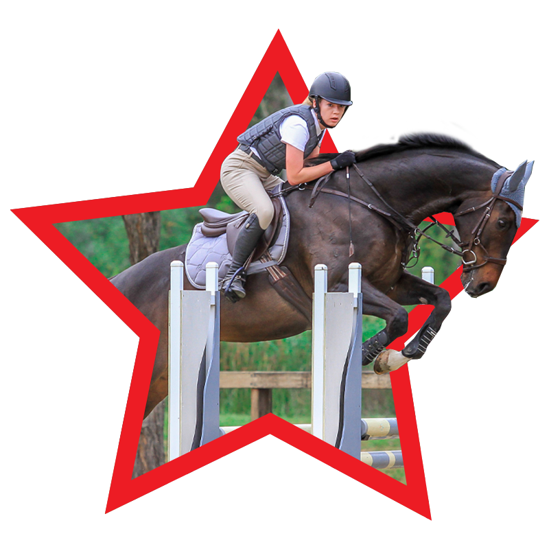 Redlands Stables Canberra Horse Agistment, Canberra Horse Riding