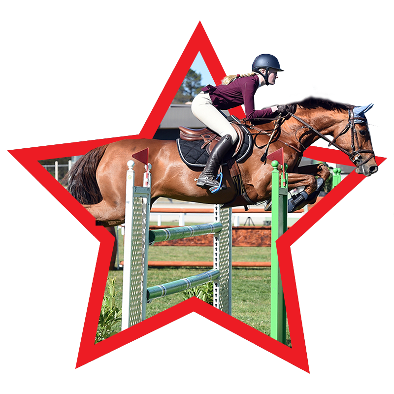 Redlands Stables Canberra Horse Agistment, Canberra Horse Riding