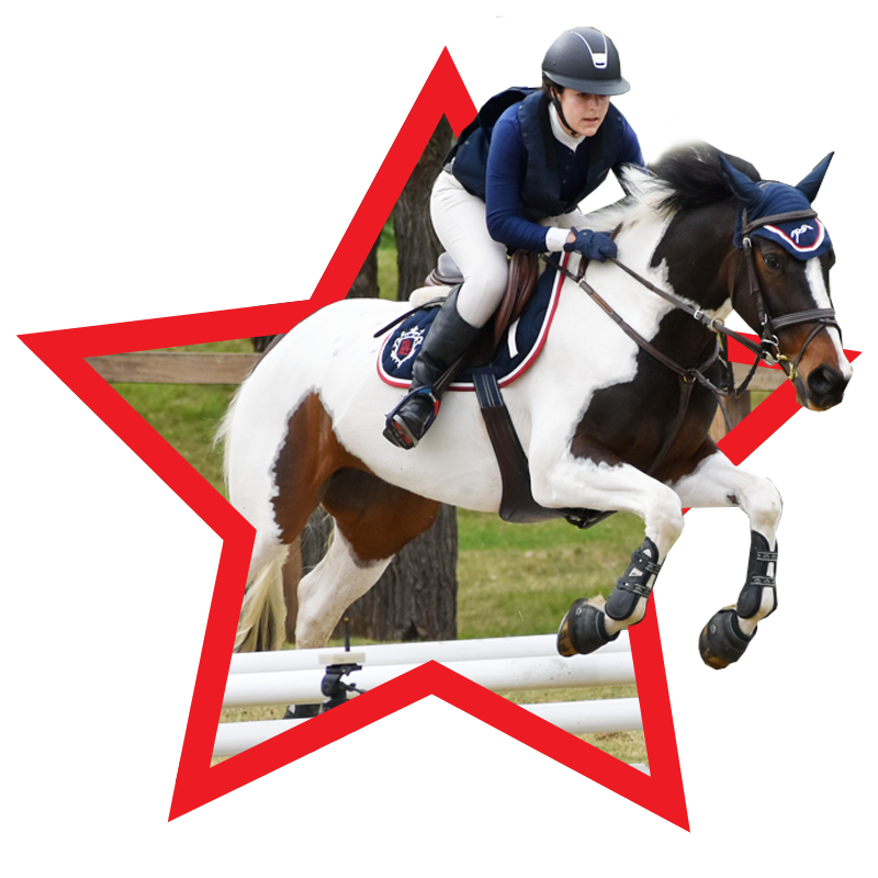 Redlands Stables Canberra Horse Agistment, Canberra Horse Riding