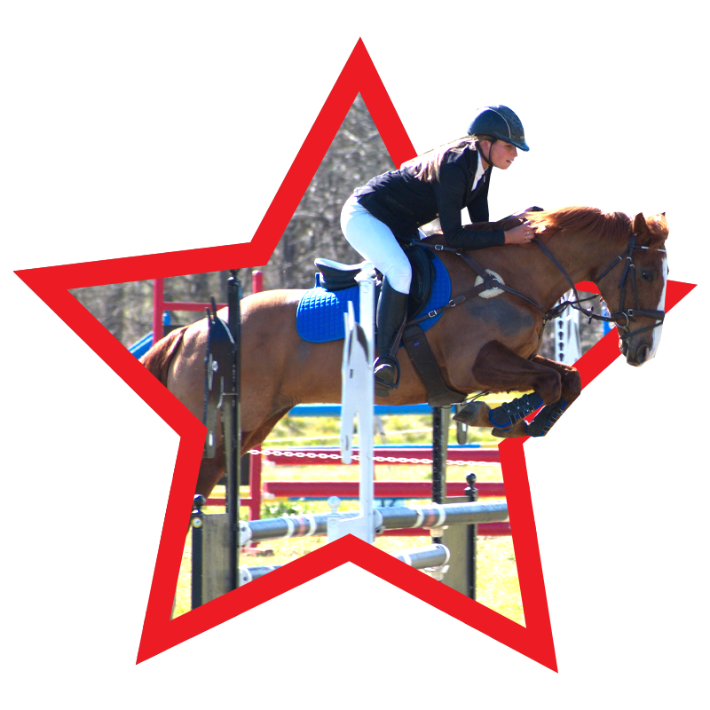 Redlands Stables Canberra Horse Agistment, Canberra Horse Riding