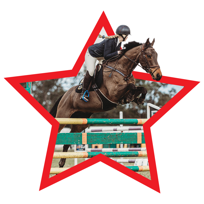 Redlands Stables Canberra Horse Agistment, Canberra Horse Riding