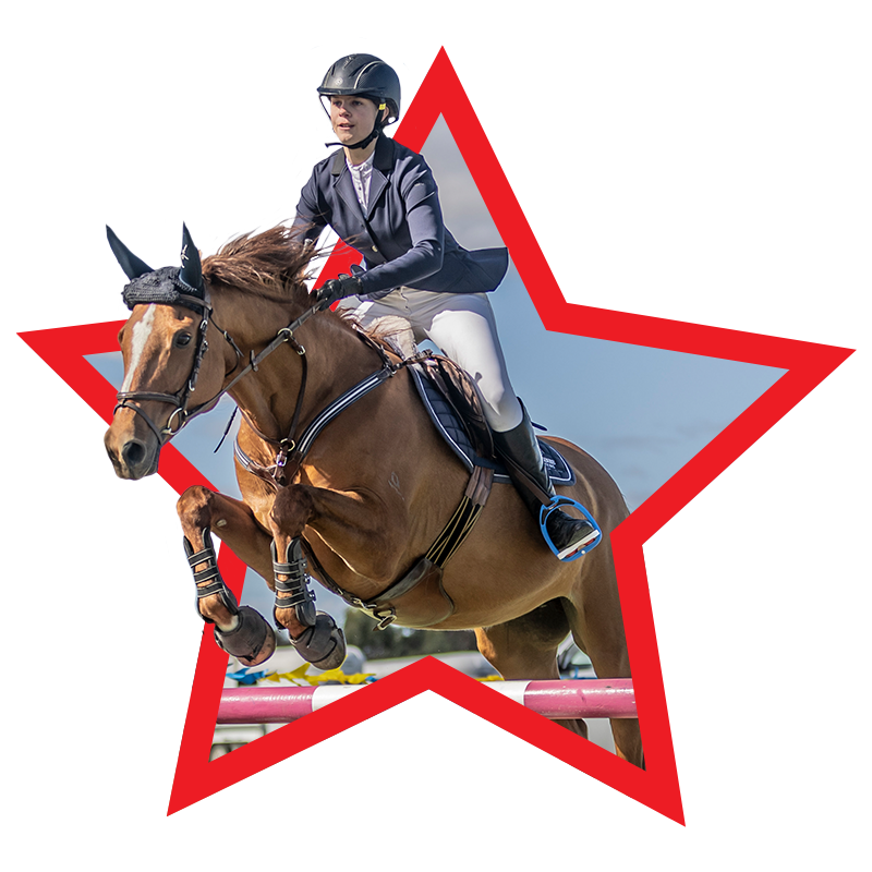 Redlands Stables Canberra Horse Agistment, Canberra Horse Riding