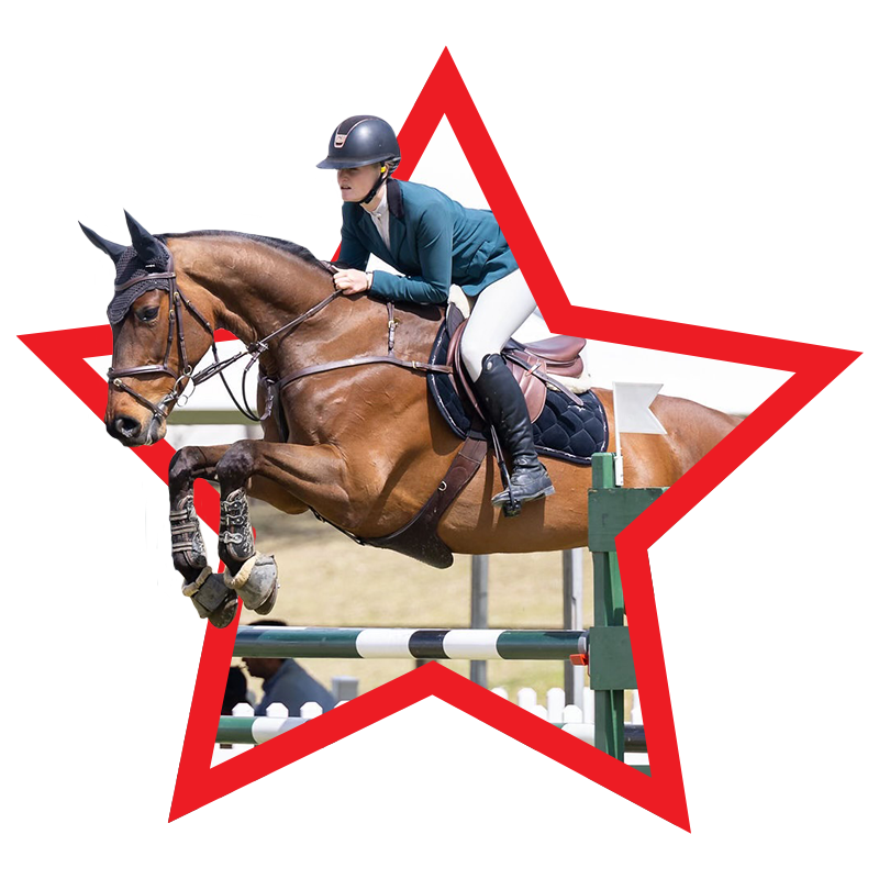 Redlands Stables Canberra Horse Agistment, Canberra Horse Riding