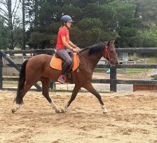 IMG_3820 (1) IMG_3820 (1)