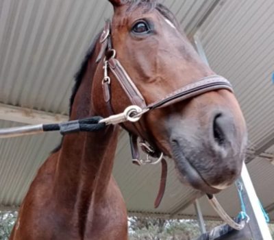 fc8f87b3-49f3-47fa-a900-0e6fae646b41 fc8f87b3-49f3-47fa-a900-0e6fae646b41